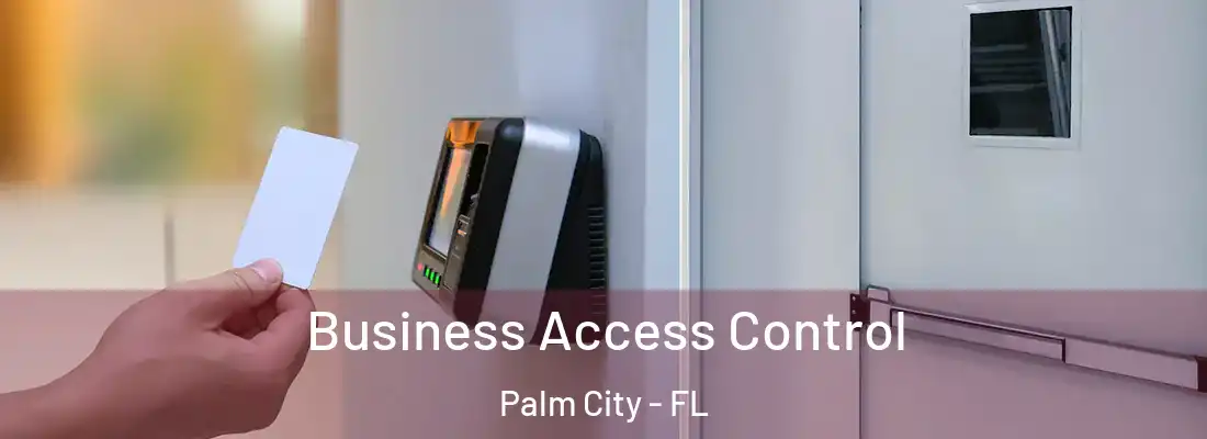 Business Access Control Palm City - FL