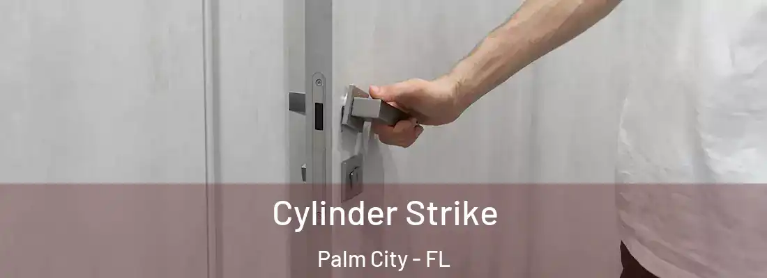  Cylinder Strike Palm City - FL