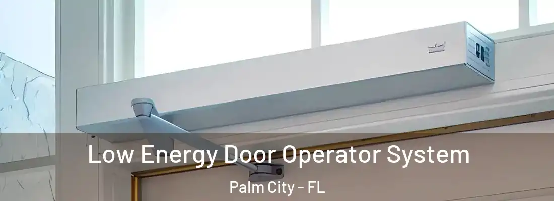 Low Energy Door Operator System Palm City - FL