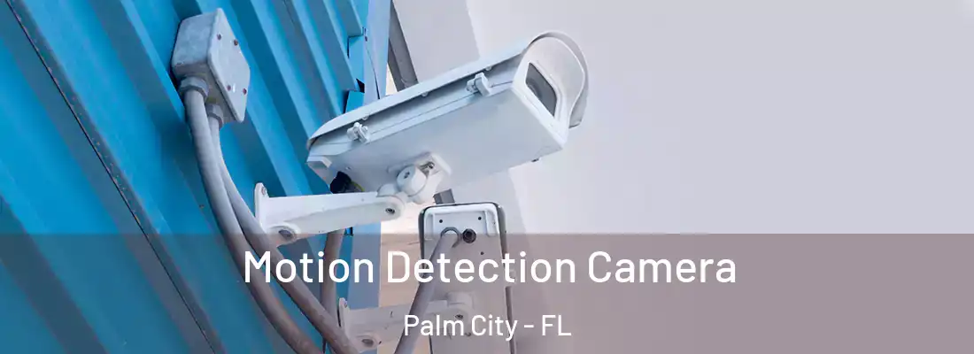 Motion Detection Camera Palm City - FL