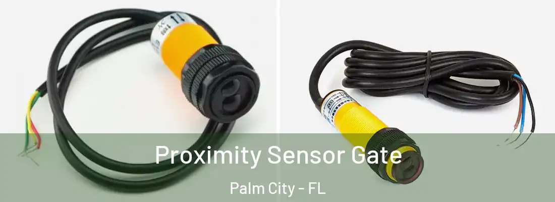 Proximity Sensor Gate Palm City - FL