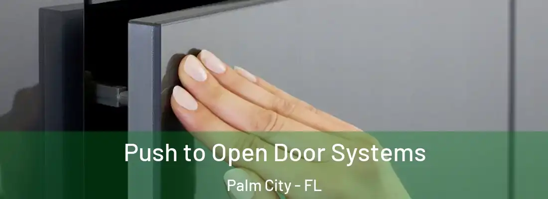 Push to Open Door Systems Palm City - FL